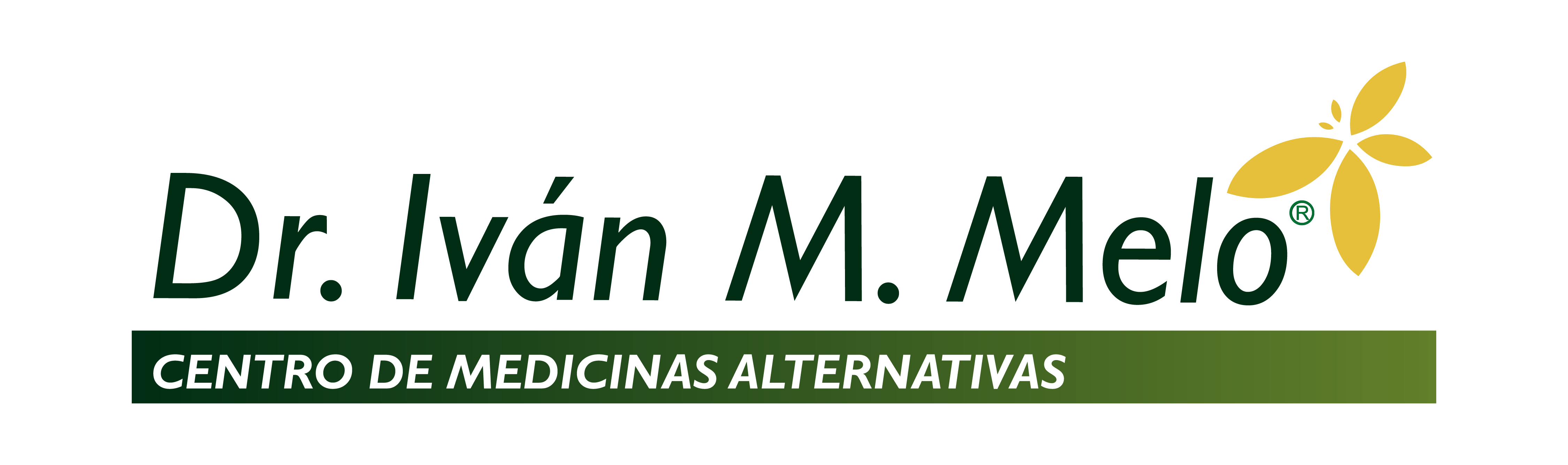 Logo Ivan Melo (5) (2)